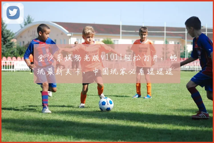 金沙乐娱场老版v1011轻松打开，畅玩最新关卡，中国玩家必看逗逗逗